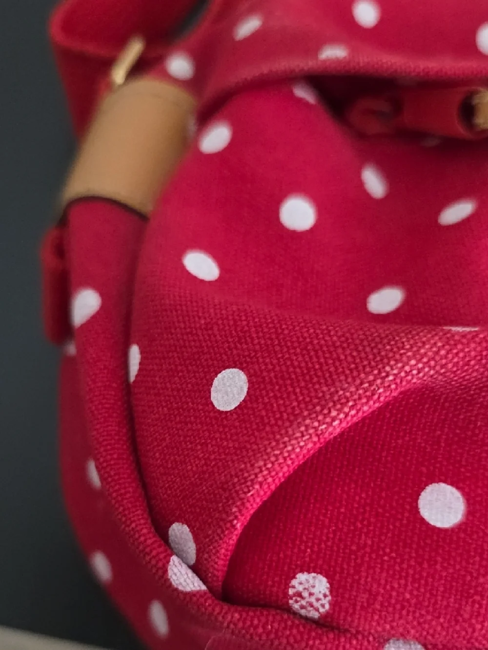 Capezio Polkadot Crossbody Bag